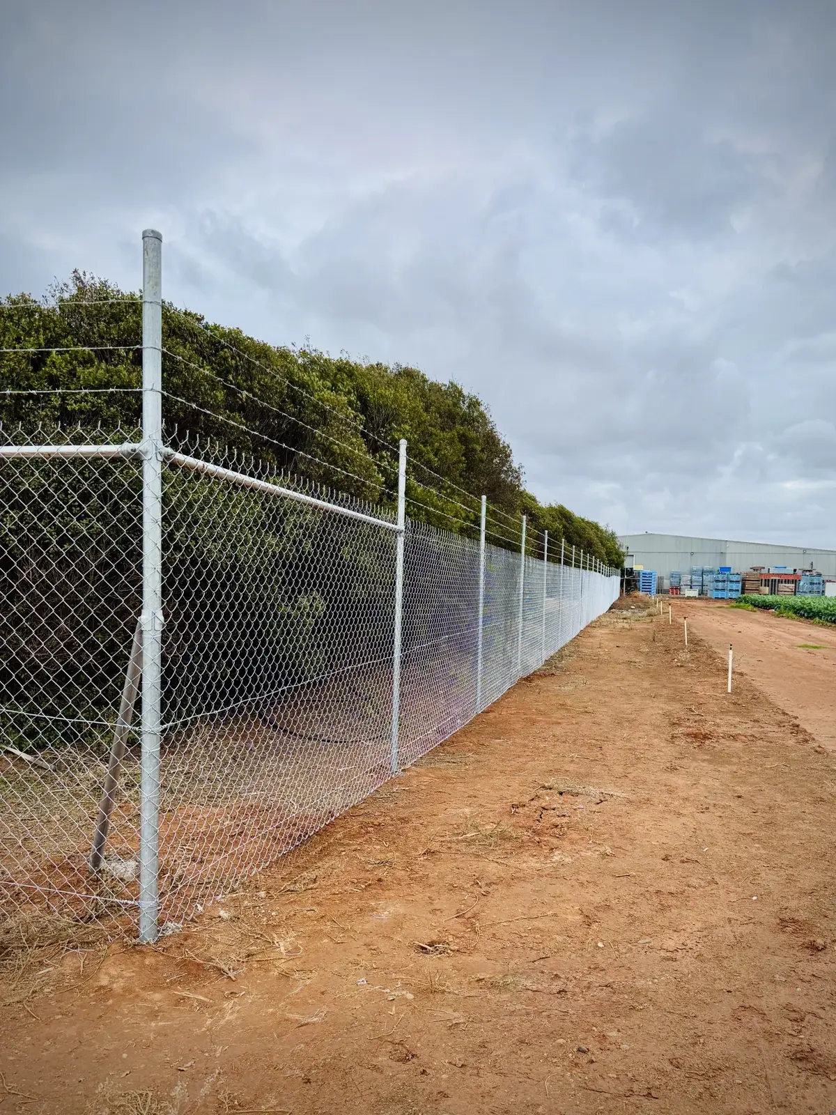 Chain mesh boundary — APS Pro Fencing