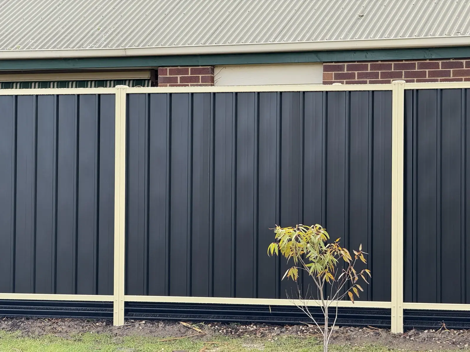 Black panels cream frame — APS Pro Fencing