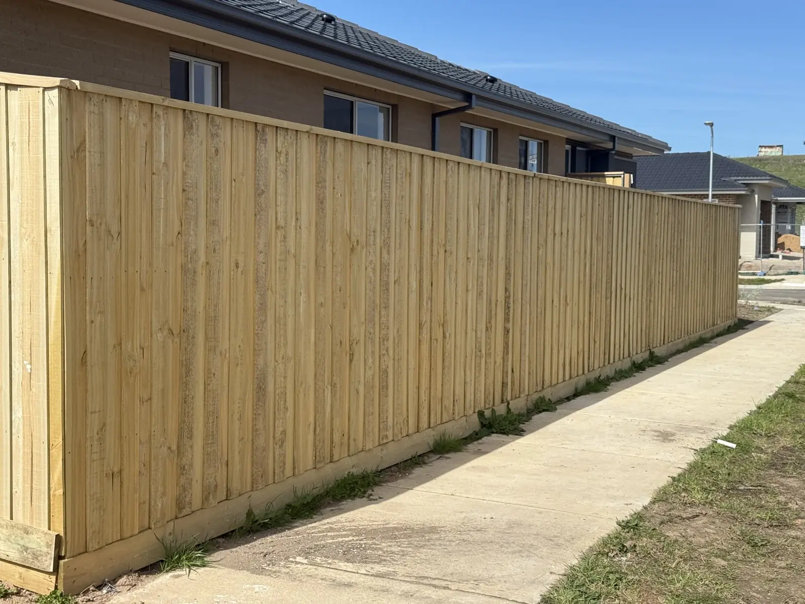 Capped timber paling boundary fence