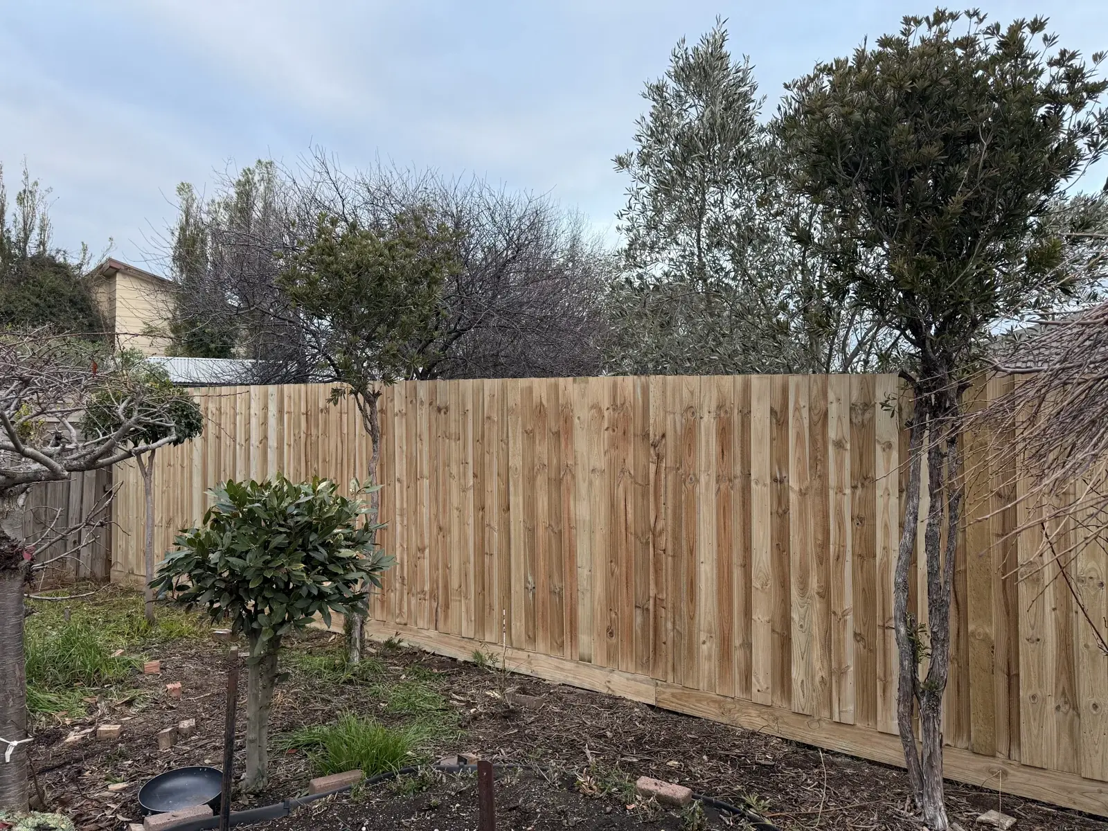 Natural garden privacy — APS Pro Fencing